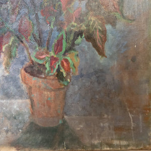 Antique French oil painting on canvas, early 20th century, depicting a potted coleus plant with rich red and green leaves in a terracotta pot. The soft brushwork and muted tones create a decorative country-style still life.