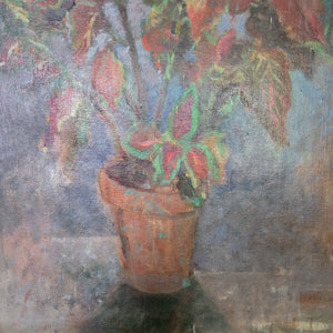 Antique French still life oil painting from the early 1900s depicting a potted plant with red and green leaves. The soft background tones of blue and grey highlight the warm terracotta pot and natural composition.