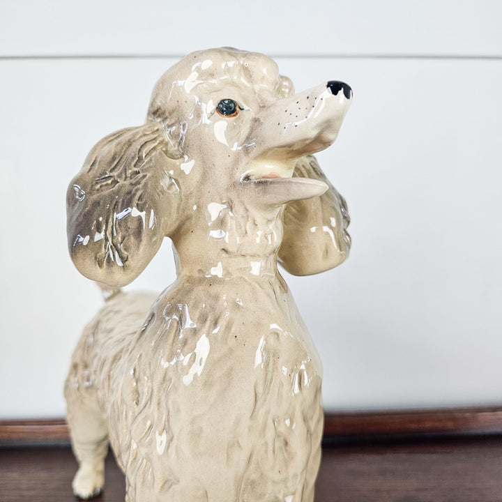 An agled view of the face of a poodle ornament showing the eyes, mouth and nose