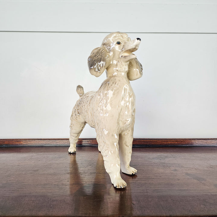Front view looking up - a vintage poodle figurine circa 1950 by Melba Ware