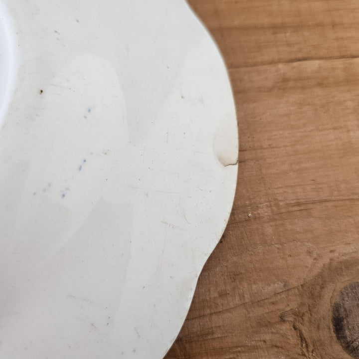 Decorative vintage plate from early 20th century
