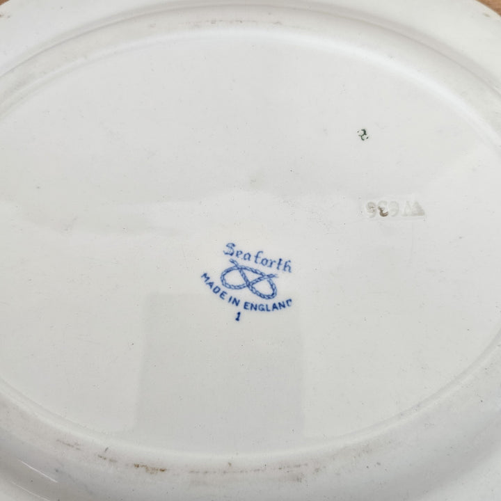 Collectable blue and white transferware dish