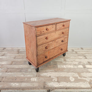 Antique pine chest of drawers with original buttermilk paintwork, five drawers, and four dark contrasting bun feet

