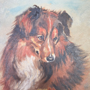 Vintage dog study in oil on canvas showing a collie portrait without an external decorative frame.
